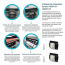 ColorMaster UV DTF (60 cm)